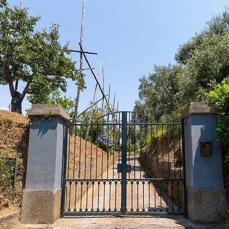 Villa Ada Sorrento Eksteriør bilde