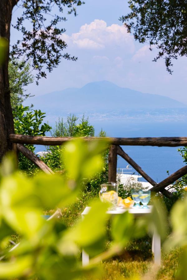 Villa Ada Sorrento Eksteriør bilde